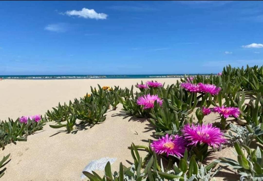 Marea Il Tuo Angolo Di Paradiso In Sicilia Ti Aspetta Prenota Ora E Vivi La Magia Del Mediterraneo 알카모 마리나 외부 사진